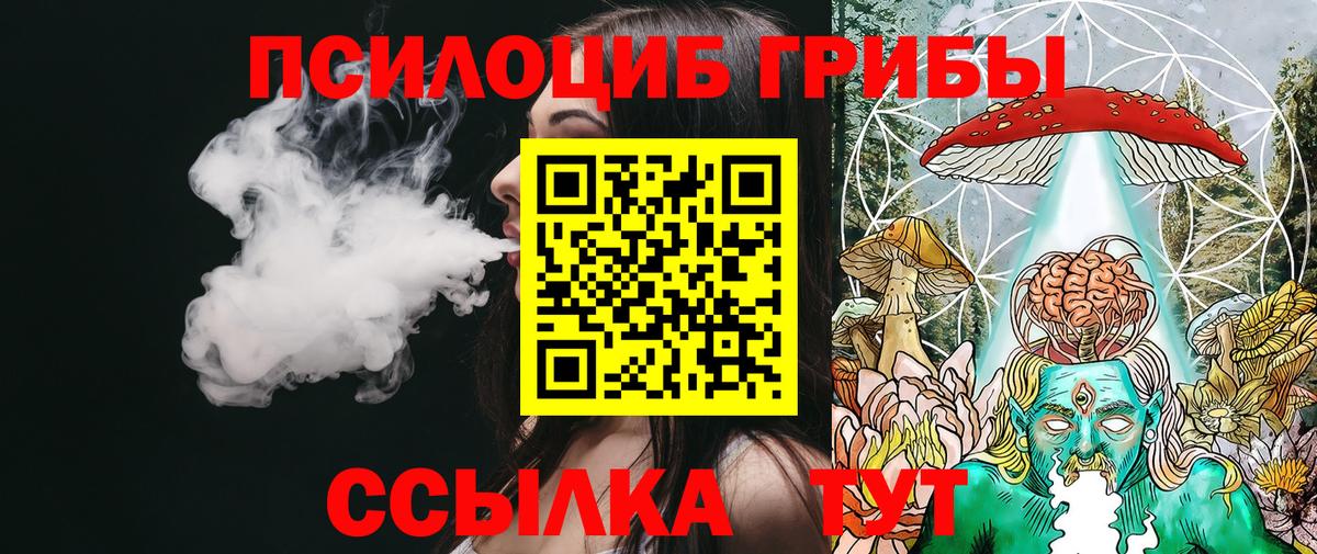 Псилоцибиновые грибы Psilocybe  Вход с VPN  Псилоцибиновые грибы Psilocybine cubensis  Орёл 